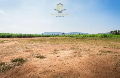 Land - Studio for sale in Al Belidah - Al Bataeh - Sharjah