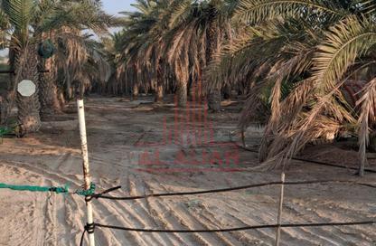 Farm - Studio for sale in Al Dhafrah - Abu Dhabi