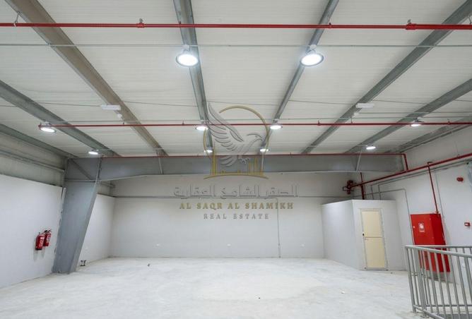 135623402 - Property Image 3