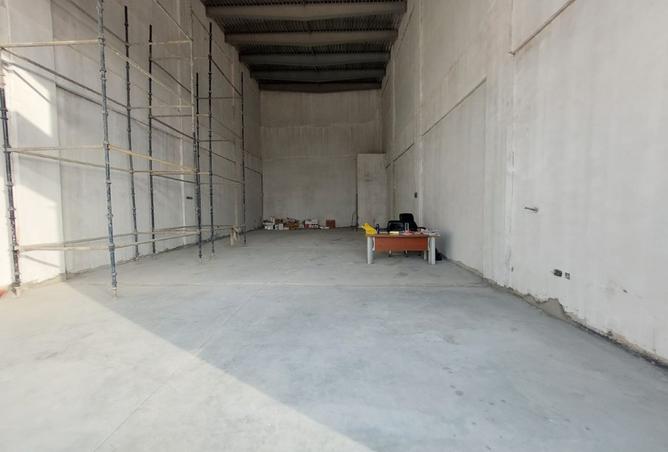 116363838 - Property Image 3