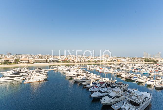 145503825 - Property Image 2