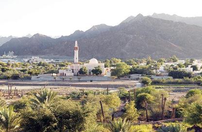 Land - Studio for sale in Masfoot 1 - Masfoot - Ajman