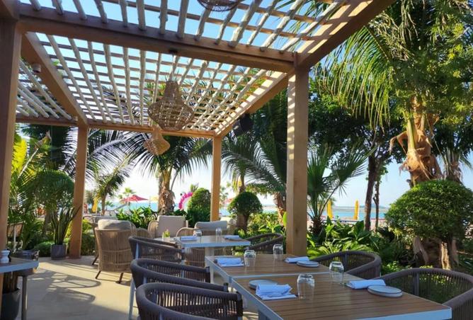 81956063 - صورة العقار 3