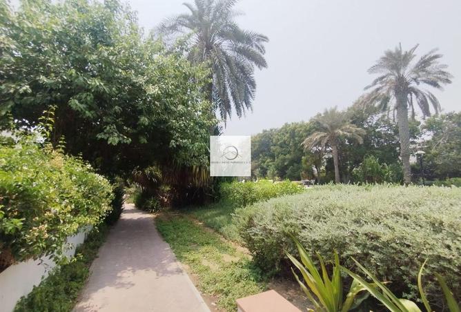 16063195 - Property Image 3