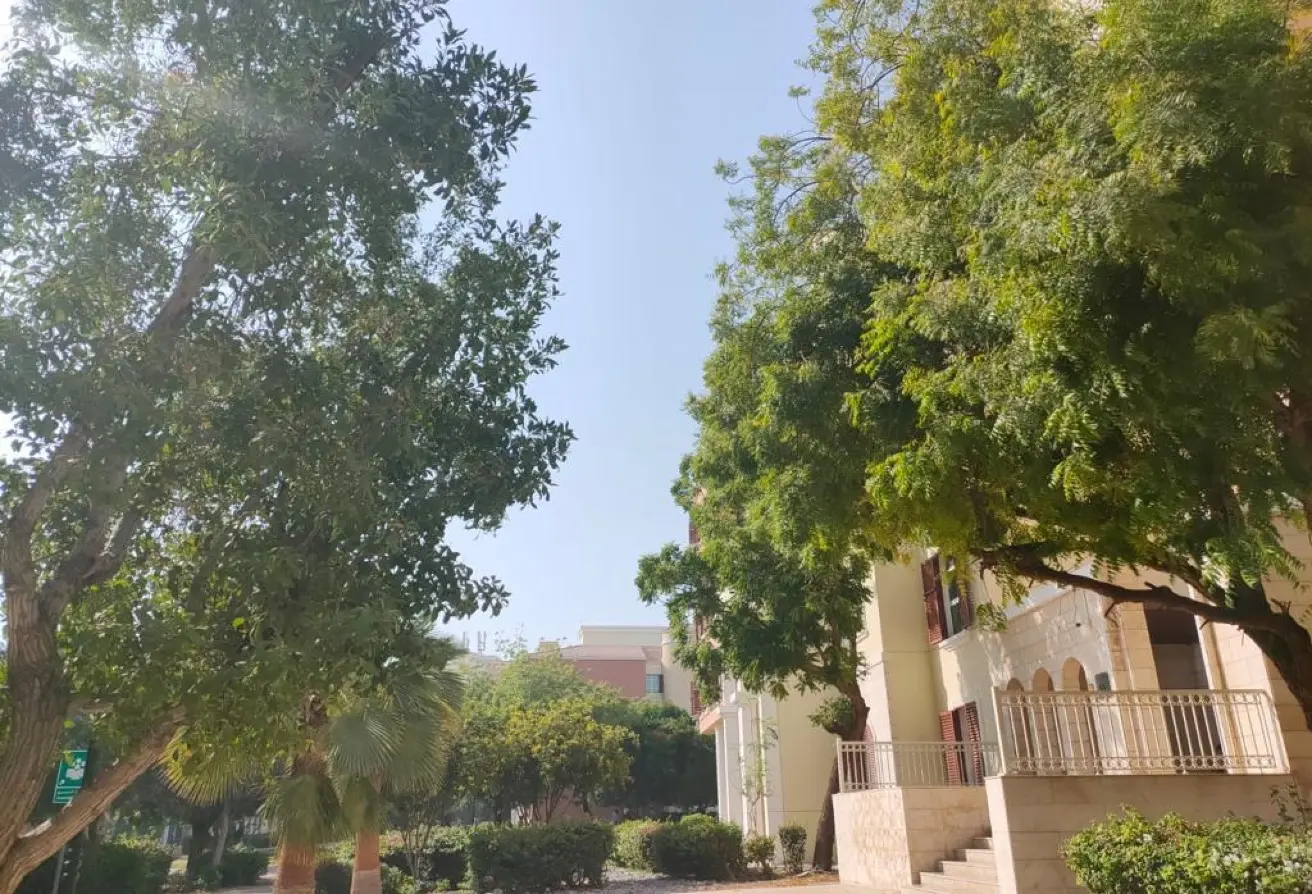 155527358 - Property Main Image