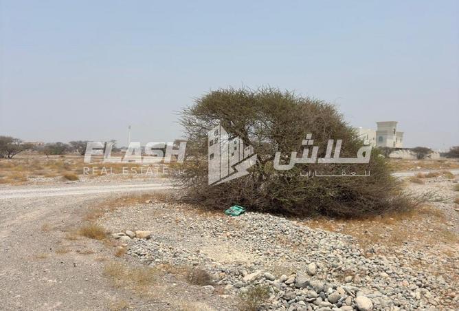 131117473 - صورة العقار 3