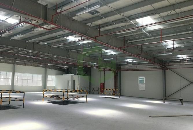 82814617 - صورة العقار 3