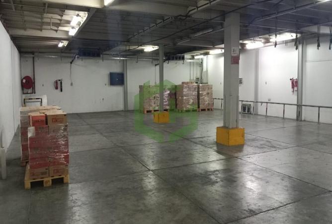 54928787 - صورة العقار 2