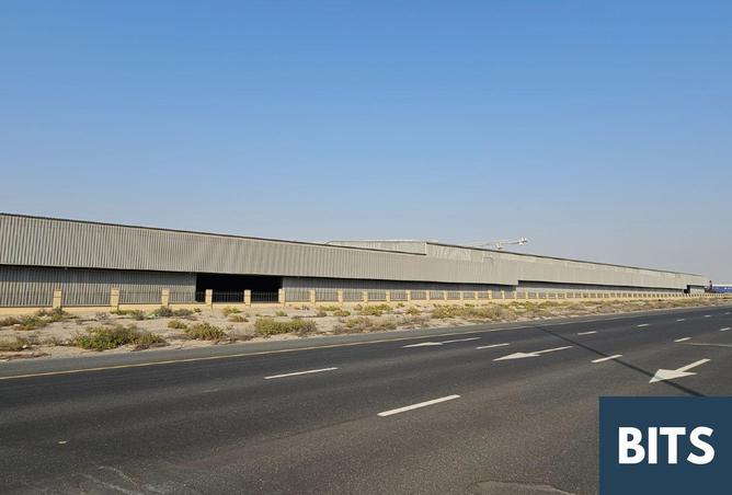 16064624 - Property Image 3