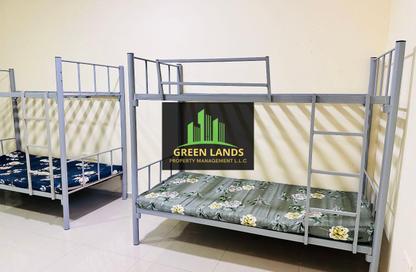Staff Accommodation - Studio - 7+ for rent in Mussafah Industrial Area - Mussafah - Abu Dhabi
