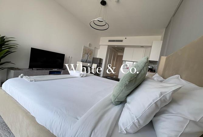 16256708 - Property Image 3