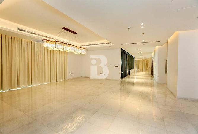 16258144 - Property Image 3