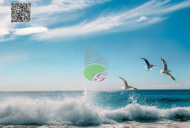 60526951 - الصورة الرئيسية للعقار