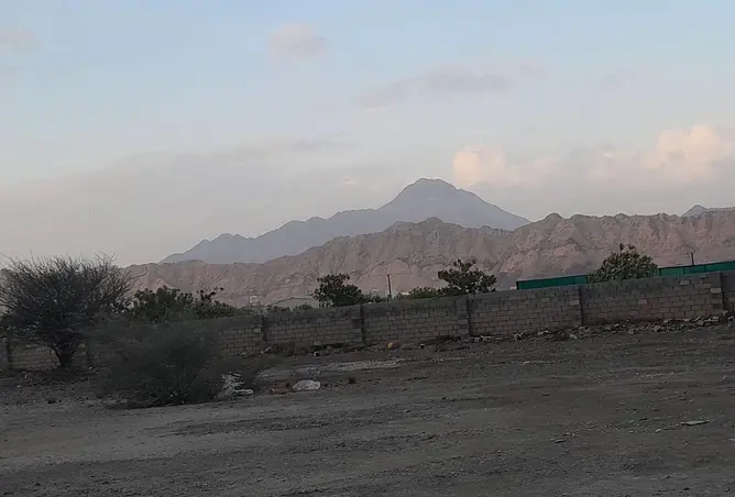 111842694 - صورة العقار 2
