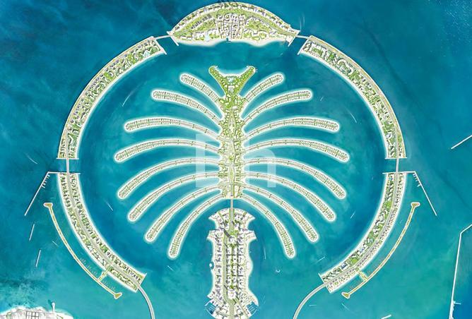 54397074 - Property Image 3