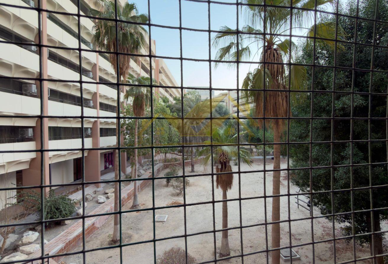 2 BR Apartment in Bur Dubai | Balcony photo 3