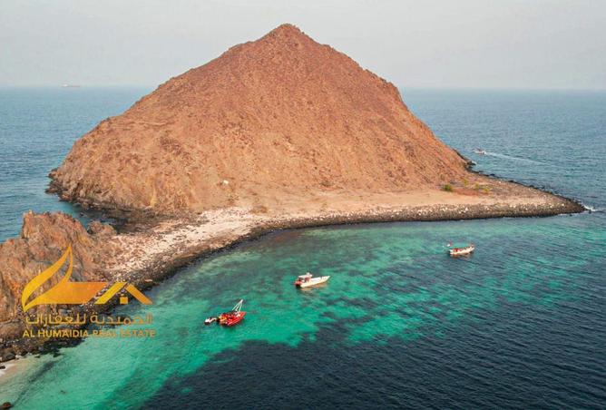 92264851 - صورة العقار 2
