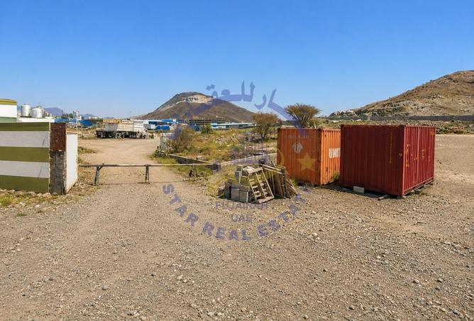 141025169 - Property Image 3