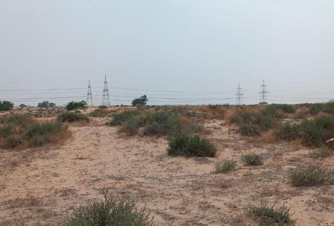 16075151 - Property Image 2