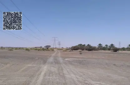 أرض - استوديو للبيع في المنامة - عجمان