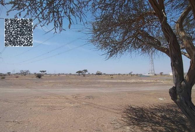 58579211 - صورة العقار 2