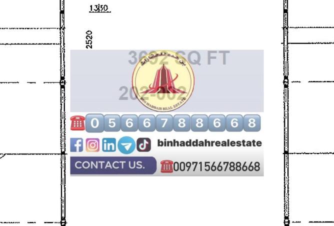 125198008 - Property Image 2