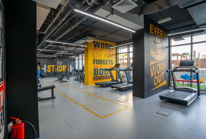 16124851 - Property Image 2