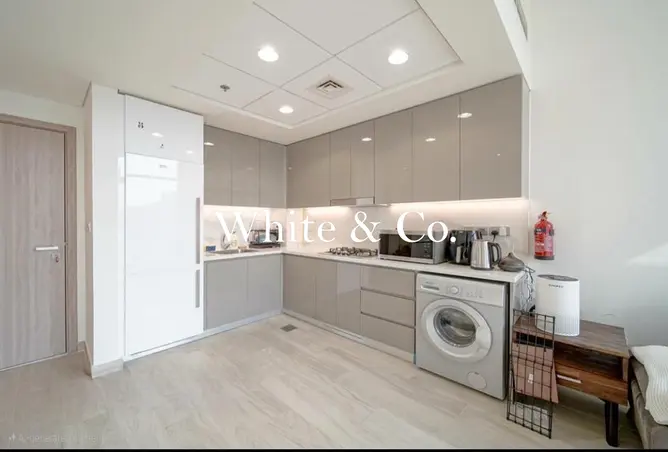 162796465 - Property Image 3