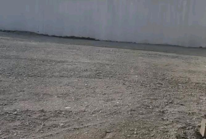 73167589 - صورة العقار 2