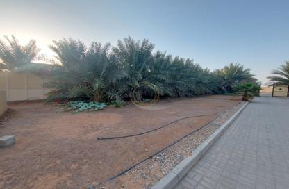 Villa - 4 Bedrooms - 6 Bathrooms for rent in Al Owainah - Falaj Hazzaa - Al Ain Villa - 4 Bedrooms - 6 Bathrooms for rent in Al Owainah - Falaj Hazzaa - Al Ain