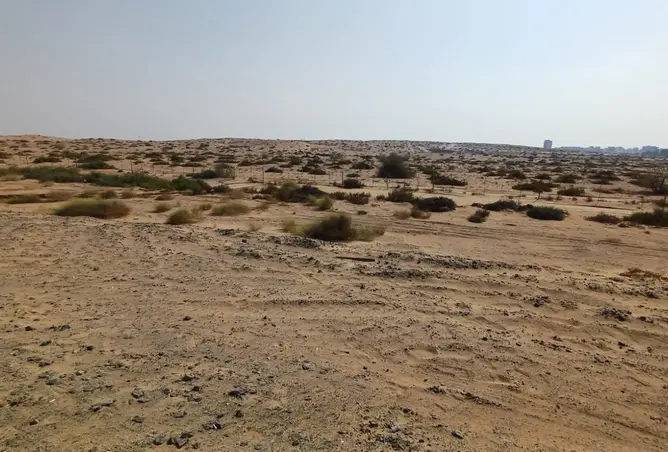 148645849 - صورة العقار 3