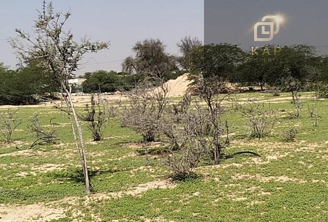 80693289 - Property Image 2