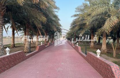 Farm - Studio for rent in Mudfak - Ras Al Khaimah