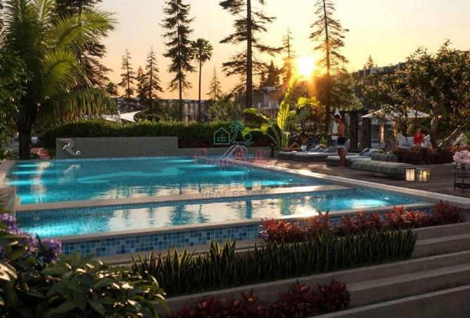 16084565 - Property Image 3