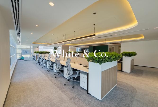 116815214 - Property Image 2