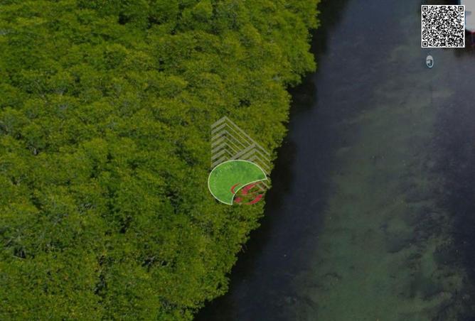 16298955 - صورة العقار 3