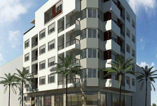 16263029 - Property Image 3