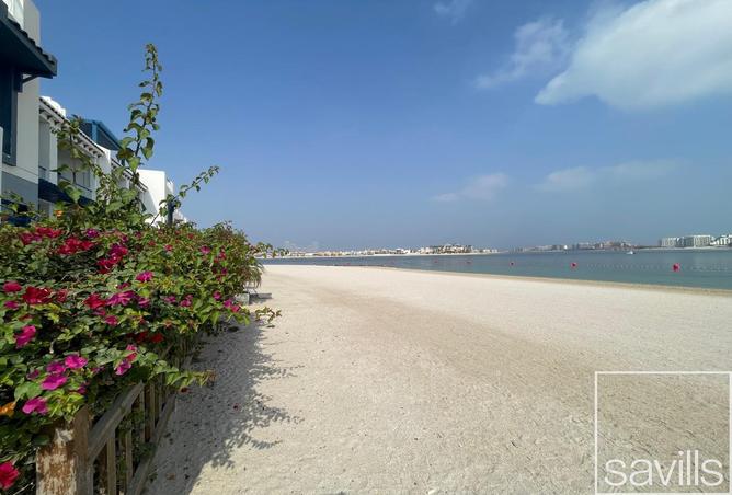 16309879 - Property Image 2