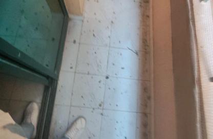 Apartment - 1 Bedroom - 1 Bathroom for rent in Al Butina - Sharjah