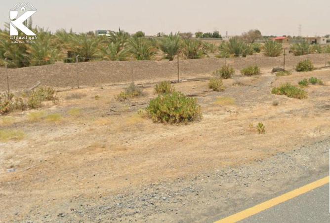 15987384 - صورة العقار 2