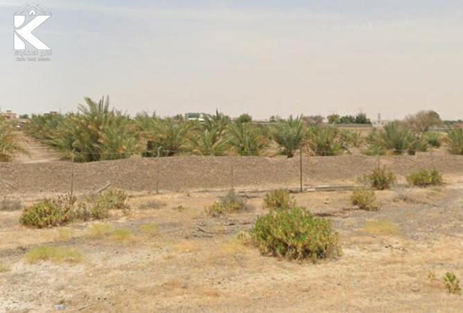 15987384 - صورة العقار 3