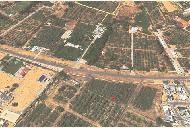 16032732 - صورة العقار 3