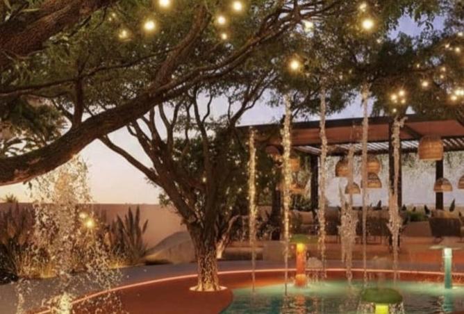 16313834 - Property Image 3