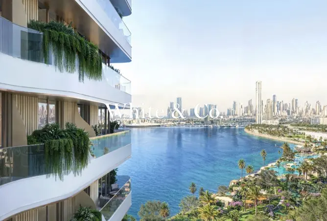 146467456 - Property Image 3