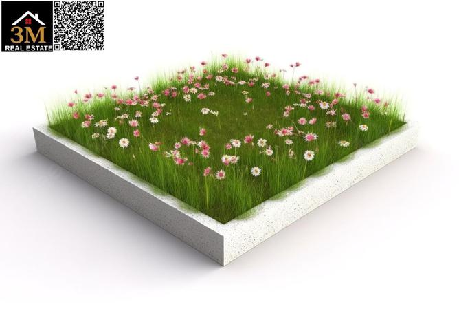 57793659 - Property Image 2