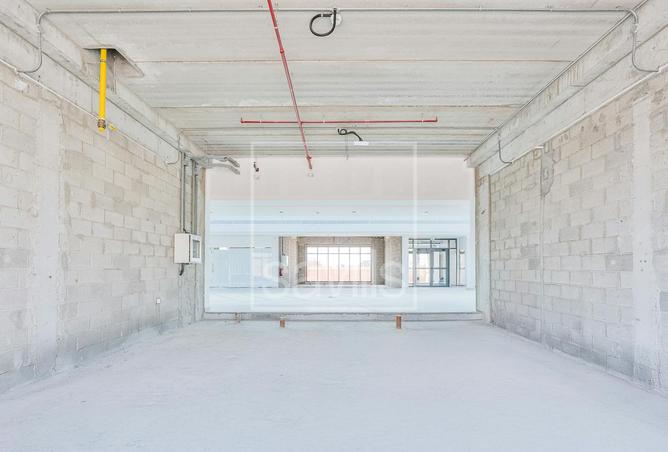 16252595 - Property Image 3