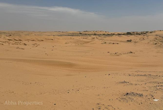 86171925 - صورة العقار 3