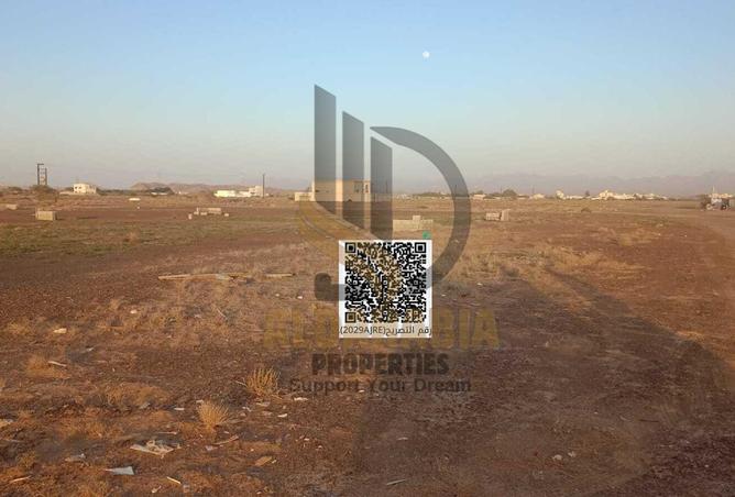 16252193 - Property Image 3