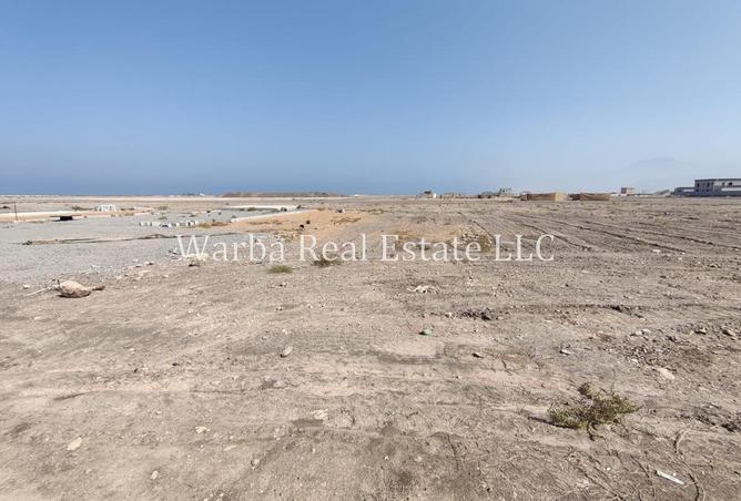 136109113 - Property Image 3