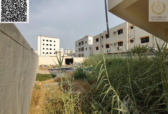 122475295 - Property Image 3